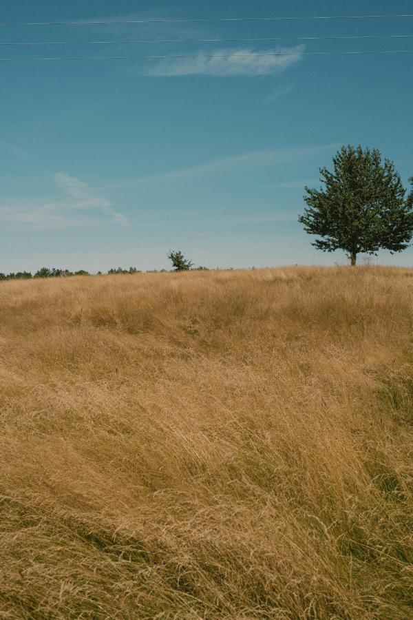 Przystawy Agroturystyka Malechowo エクステリア 写真